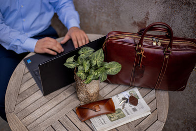 Business & Travel